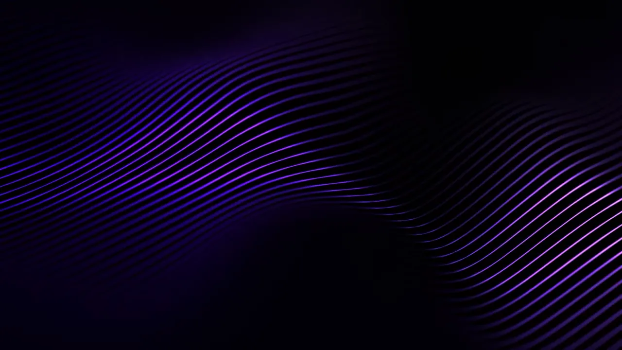 Meet the Team Background